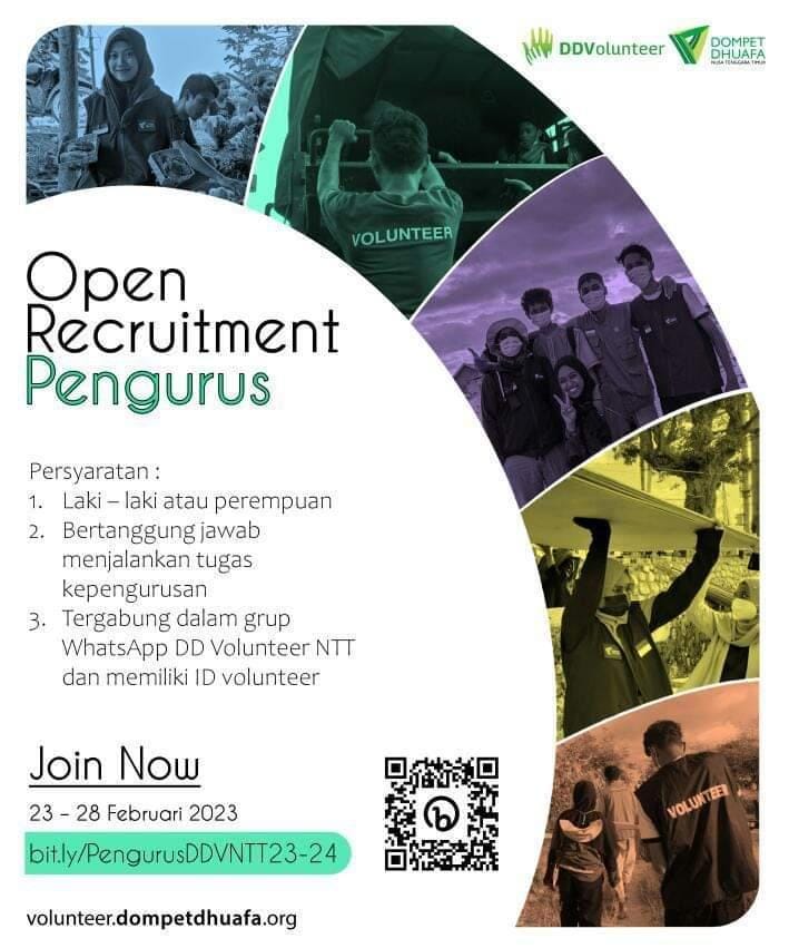 Open Recruitment DDV NTT